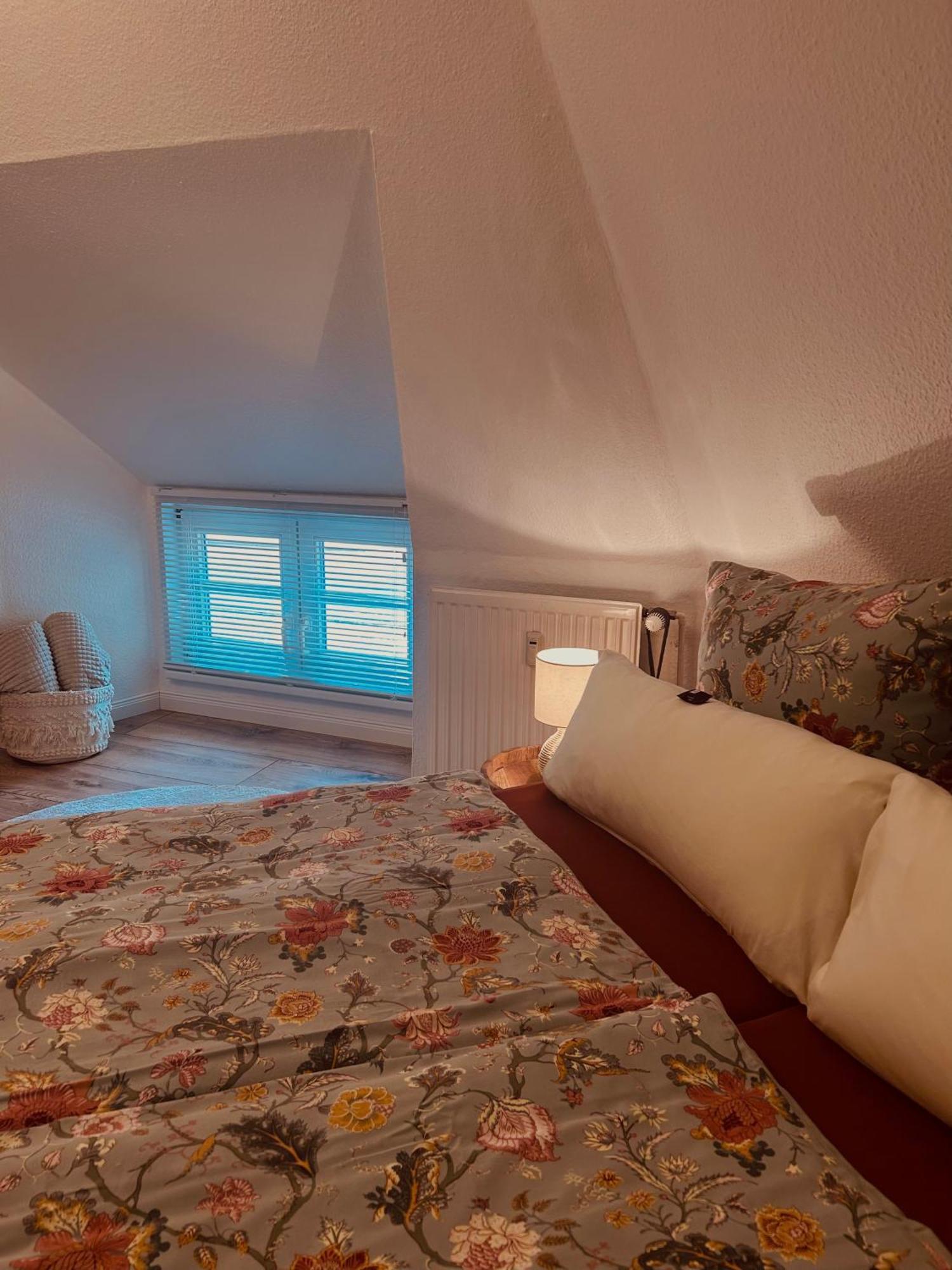 4 Wunderschoene Ferienwohnungen Im Kavaliershaus شفيرين المظهر الخارجي الصورة